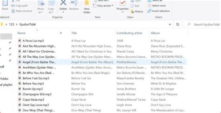 Maximizing Tidal: Pro Tips for Offline Listening and Personalized Discovery
